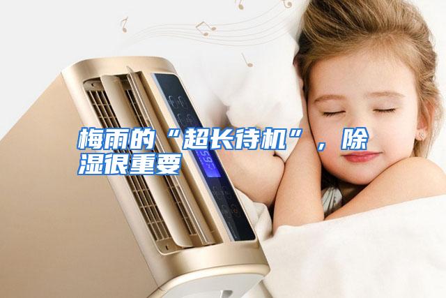 梅雨的“超长待机”，除湿很重要
