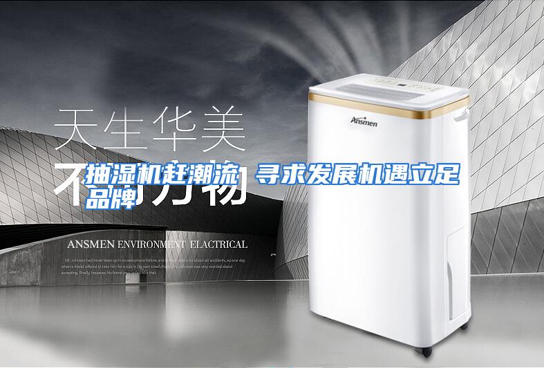 抽湿机赶潮流 寻求发展机遇立足品牌