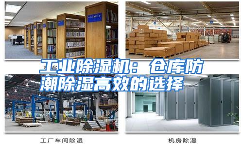 工业除湿机：仓库防潮除湿高效的选择