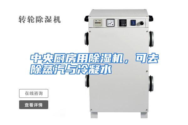 中央厨房用除湿机,可去除蒸汽与冷凝水