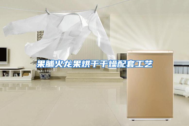 果脯火龙果烘干干燥配套工艺
