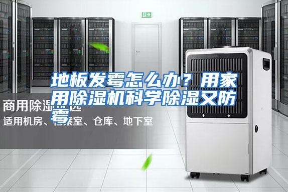地板发霉怎么办？用家用除湿机科学除湿又防霉