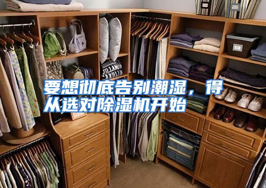 要想彻底告别潮湿，得从选对除湿机开始
