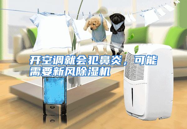 开空调就会犯鼻炎，可能需要新风除湿机