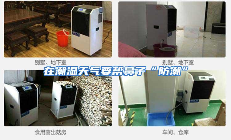 在潮湿天气要帮鼻子“防潮”