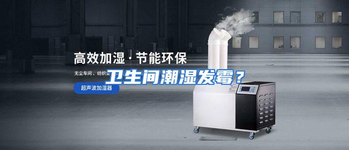 卫生间潮湿发霉？