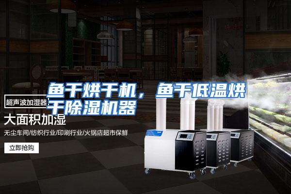 鱼干烘干机,鱼干低温烘干除湿机器