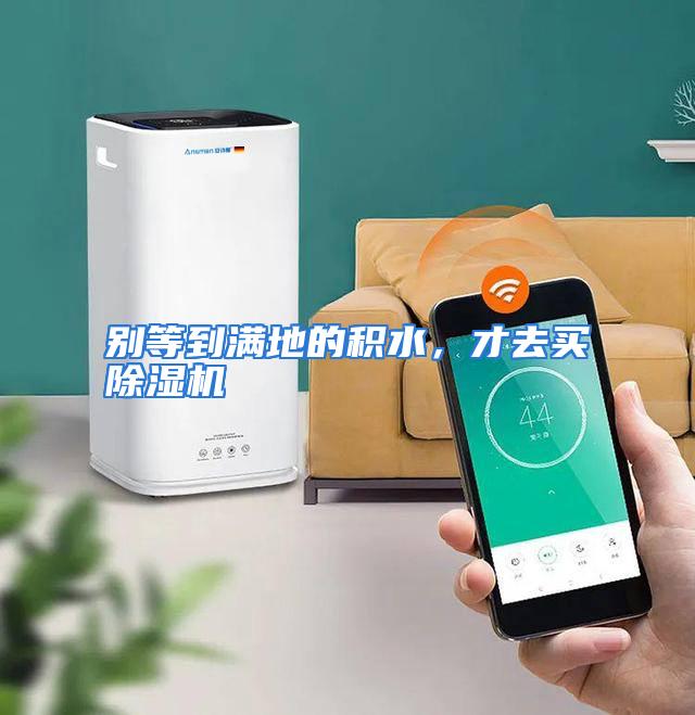 别等到满地的积水，才去买除湿机