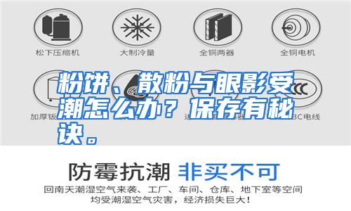 粉饼、散粉与眼影受潮怎么办？保存有秘诀。