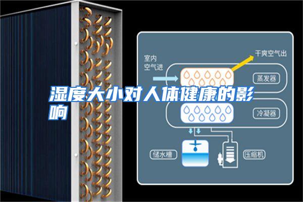 湿度大小对人体健康的影响