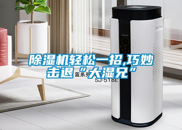除湿机轻松一招,巧妙击退“大湿兄”
