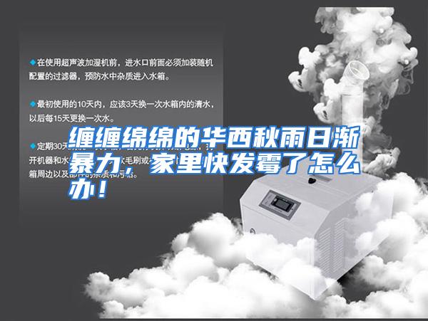 缠缠绵绵的华西秋雨日渐暴力，家里快发霉了怎么办！