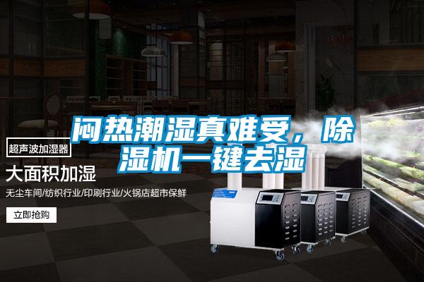 闷热潮湿真难受,除湿机一键去湿