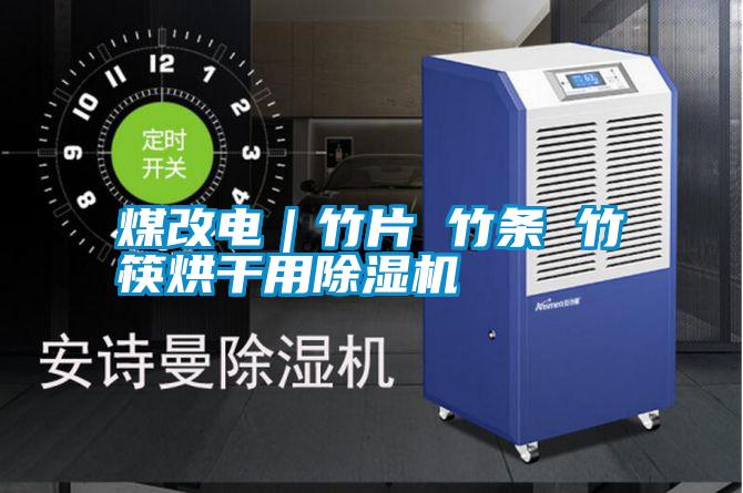 煤改电|竹片 竹条 竹筷烘干用除湿机