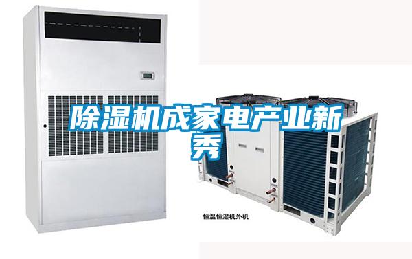 除湿机成家电产业新秀