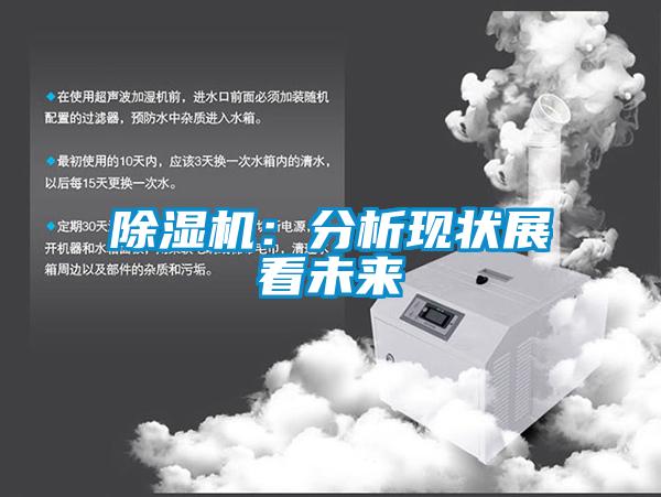 除湿机:分析现状展看未来