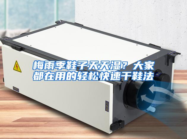 梅雨季鞋子天天湿？大家都在用的轻松快速干鞋法