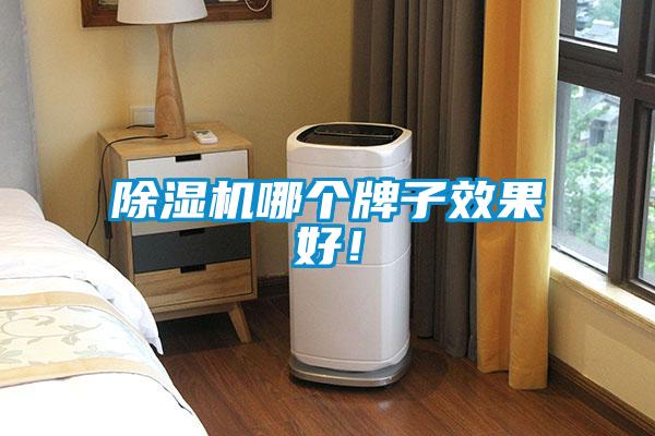 除湿机哪个牌子效果好!