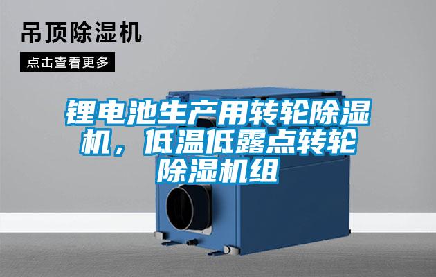 锂电池生产用转轮除湿机，低温低露点转轮除湿机组