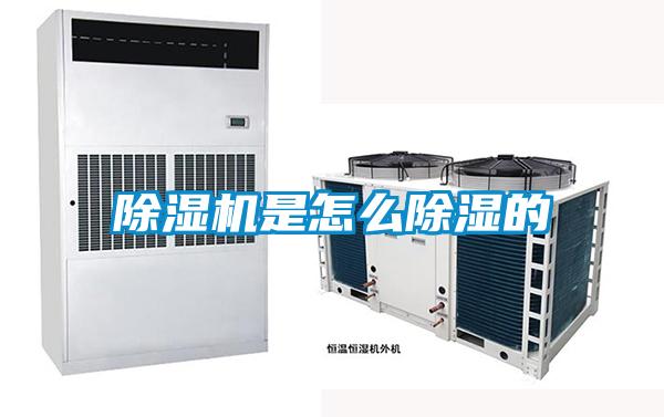 除湿机是怎么除湿的