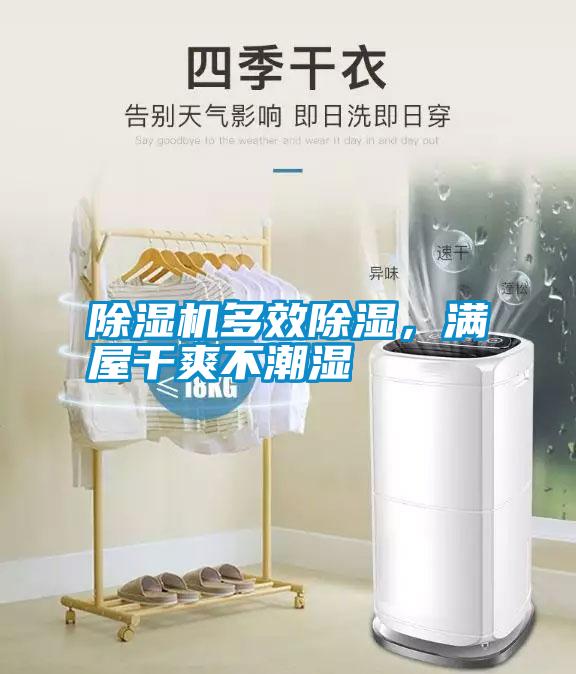 除湿机多效除湿，满屋干爽不潮湿