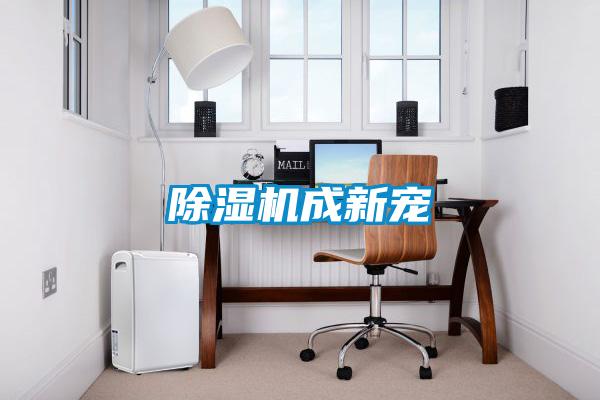 除湿机成新宠