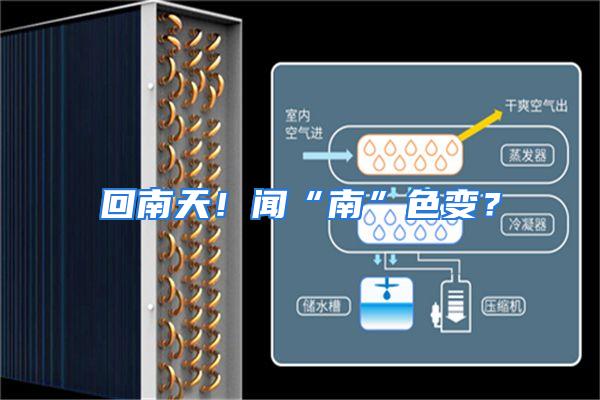 回南天!闻“南”色变?