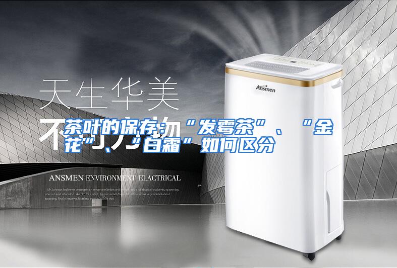 茶叶的保存:“发霉茶”、“金花”、“白霜”如何区分