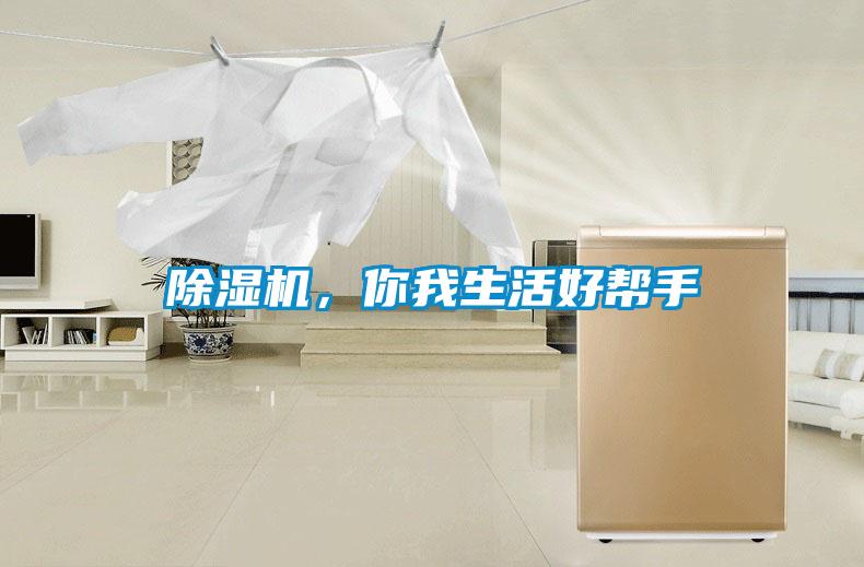 除湿机，你我生活好帮手