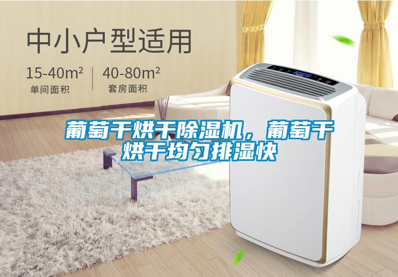 葡萄干烘干除湿机，葡萄干烘干均匀排湿快