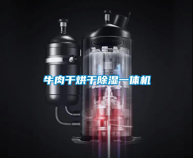 牛肉干烘干除湿一体机