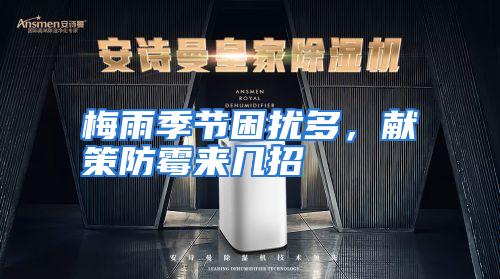 梅雨季节困扰多，献策防霉来几招