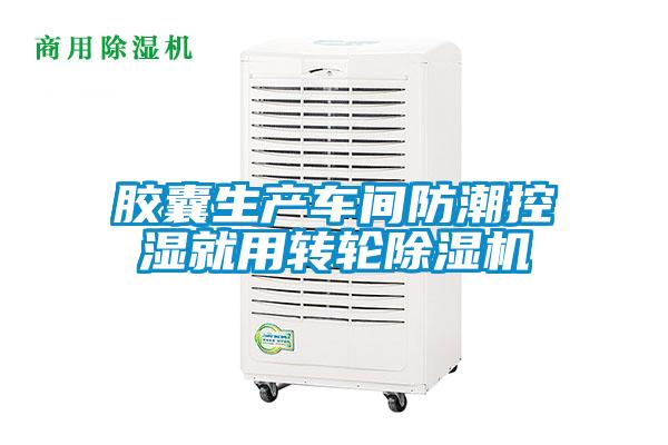 胶囊生产车间防潮控湿就用转轮除湿机