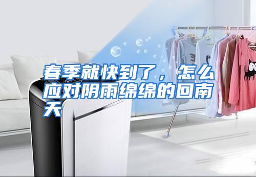 春季就快到了，怎么应对阴雨绵绵的回南天