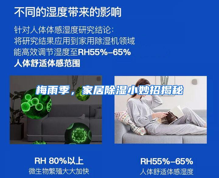 梅雨季，家居除湿小妙招揭秘