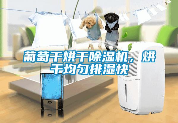 葡萄干烘干除湿机，烘干均匀排湿快