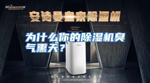 为什么你的除湿机臭气熏天？