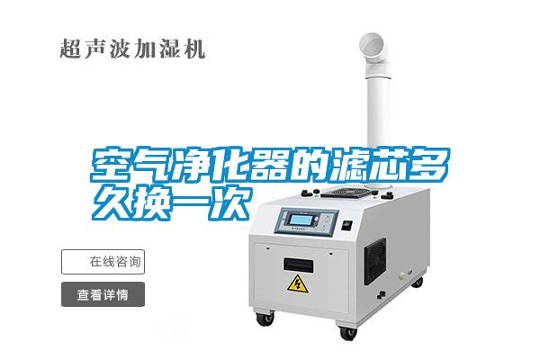 空气净化器的滤芯多久换一次