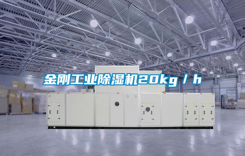 金刚工业除湿机20kg／h