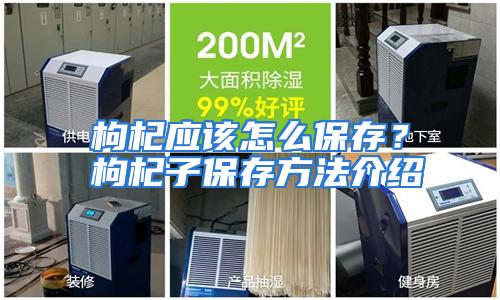 枸杞应该怎么保存?枸杞子保存方法介绍