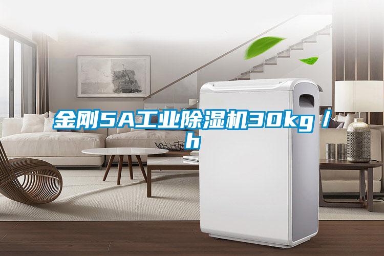 金刚5A工业除湿机30kg／h