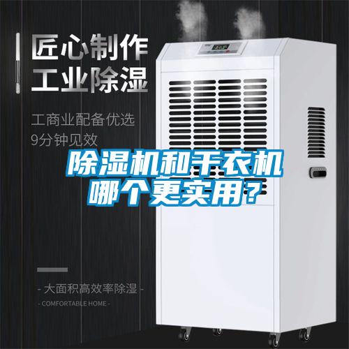 除湿机和干衣机哪个更实用？