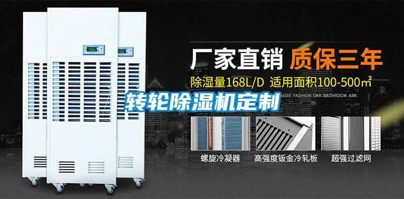 转轮除湿机定制
