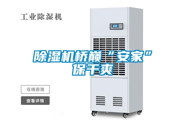 除湿机桥巅“安家”保干爽