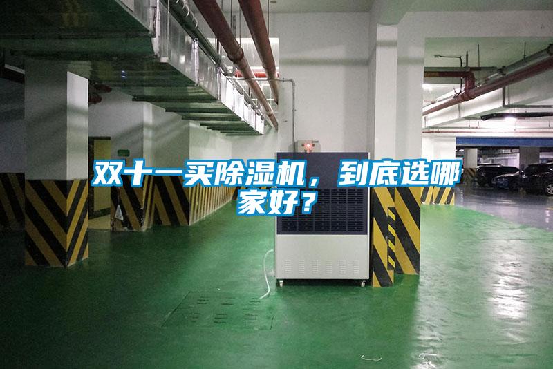 双十一买除湿机，到底选哪家好？