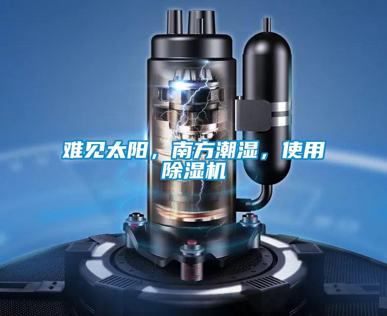 难见太阳，南方潮湿，使用除湿机