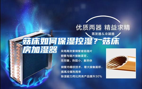 菇床如何保湿控湿?菇床房加湿器