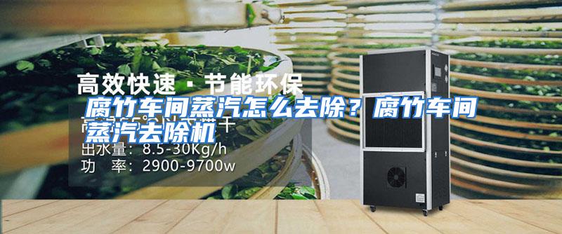 腐竹车间蒸汽怎么去除?腐竹车间蒸汽去除机