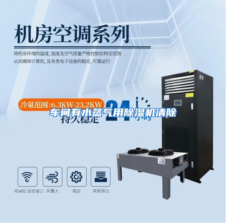 车间有水蒸气用除湿机清除