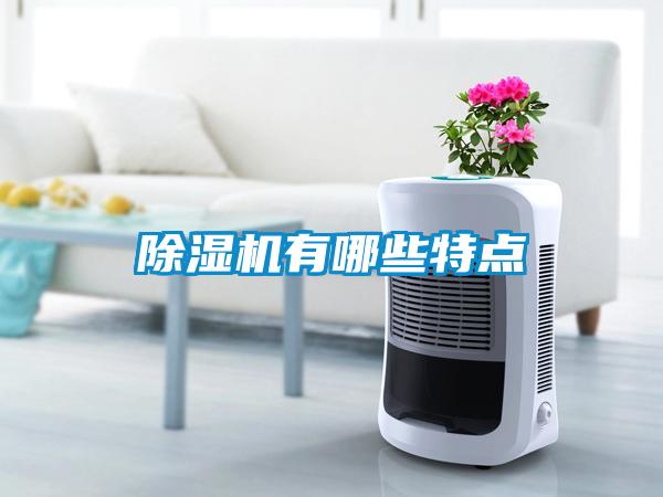 除湿机有哪些特点